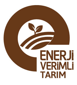 Enver Logo